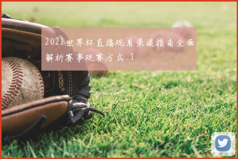 2021世界杯直播观看渠道指南全面解析赛事观赛方式_1