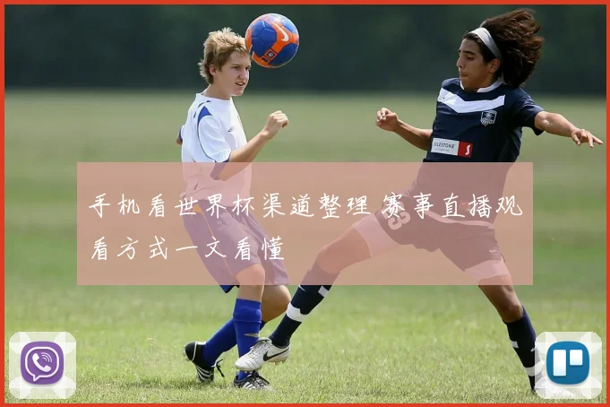 手机看世界杯渠道整理 赛事直播观看方式一文看懂