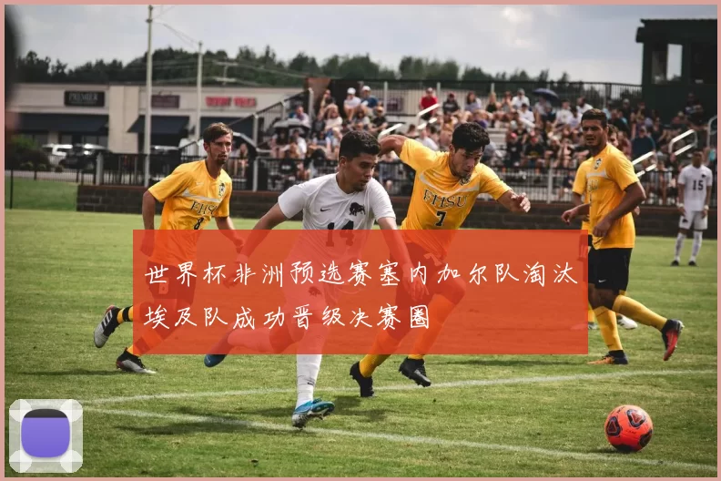 世界杯非洲预选赛塞内加尔队淘汰埃及队成功晋级决赛圈