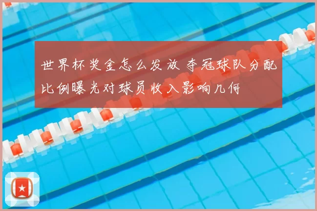 世界杯奖金怎么发放 夺冠球队分配比例曝光对球员收入影响几何