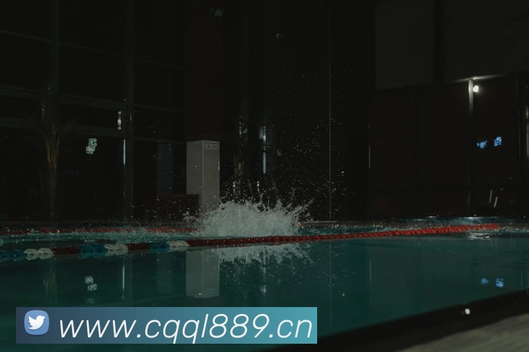 世界杯直播观看入口平台生态图